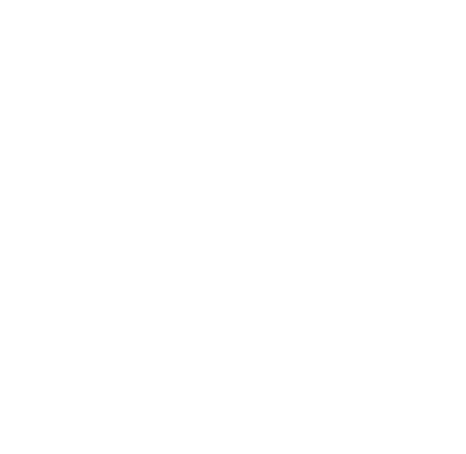 Noisy Beast logo